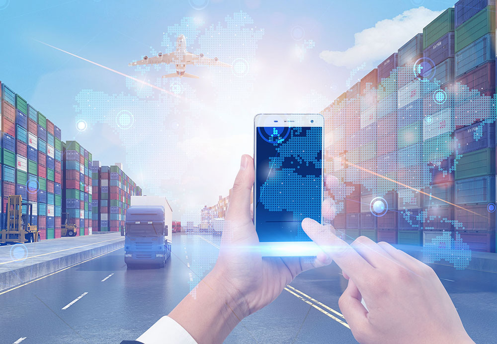 Customs Clearance / Cargo Inspection / Fumigation